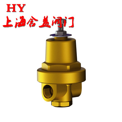 低溫升壓調壓閥 DYS-06 10_副本