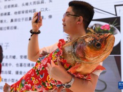 海外網評：中俄博覽會服務中俄，貢獻世界